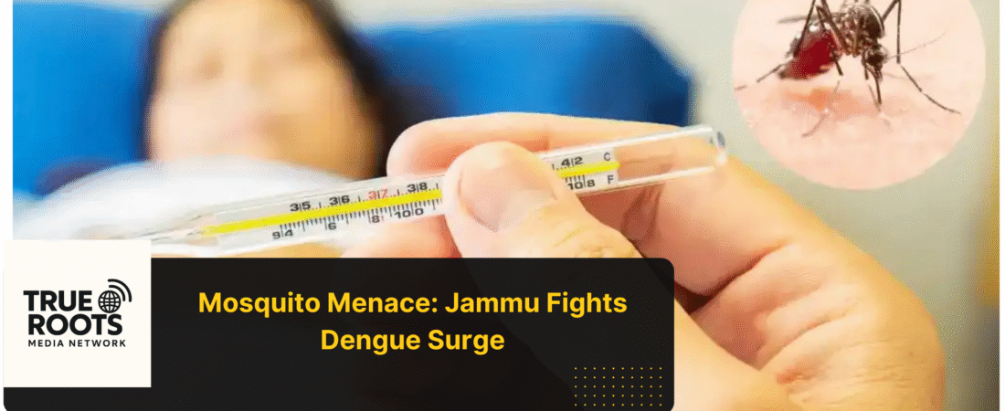 Dengue Hits Jammu, Hospitals Feel the Heat