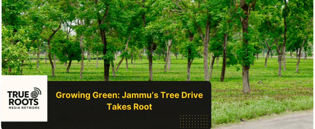 Jammu Plants Trees to Heal Flood Wounds