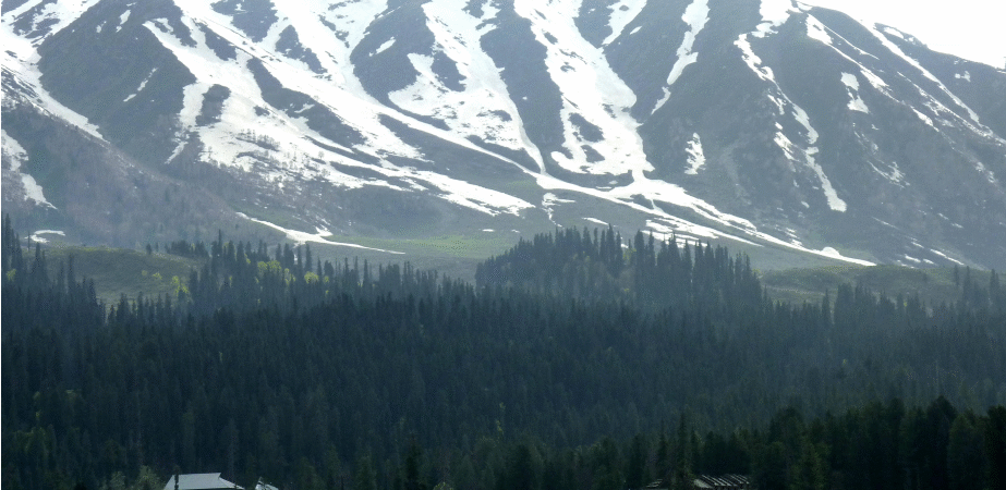 J&K’s Weather Woes: Chilla-i-Kalan Grips Kashmir with First Snowfall in Srinagar