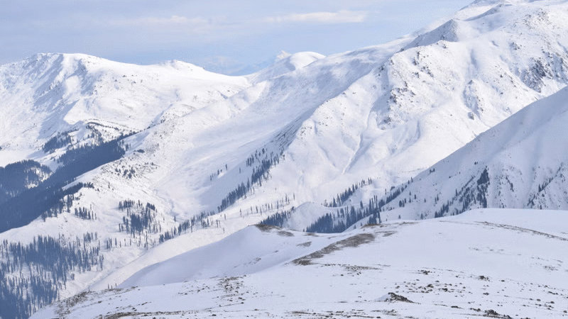 Gulmarg: Season’s First Snowfall Draws Tourists Back to Kashmir Meadows