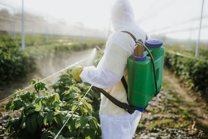J&K Government Considering Comprehensive Study on Cancer-Pesticide Link; MLA Demands ‘Health Emergency’