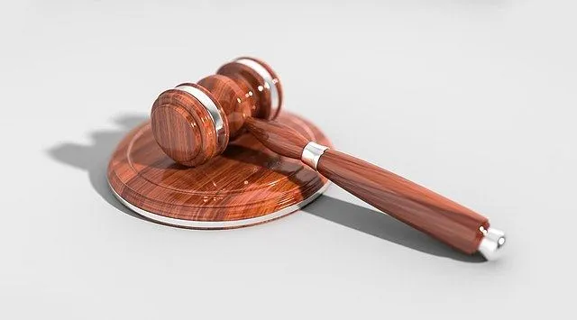 High Court Seeks Government Response on River Jhelum Restoration and Flood Management