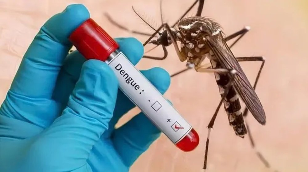 Dengue Tightens Grip on J&K: 1,393 Cases Reported, Doda’s 228 Cases Raise Alarm