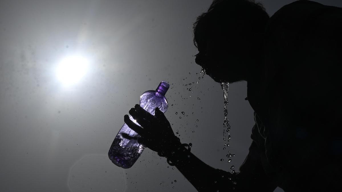 India Among Top Countries With Highest Heatwave Exposure for Infants and Older Adults: Report
